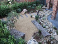 modern australian native garden