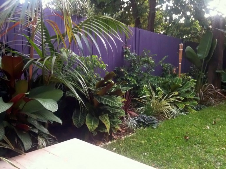 Tropical Balinese Garden Freshwater Sydney - Landscapers Sydney